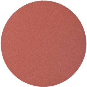 SANDING DISC PSA 125MM 180 GRIT NO HOLE 10/PK