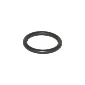 O-RING FOR H2000 SPRAY GUN
